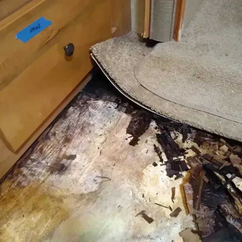 Best Wood Floor Water Damage Service in Rome City, IN